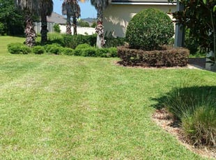 Nicole O.'s Lawn Maintenance service result