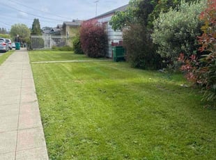 Ramon O.'s Lawn Maintenance service result