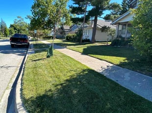 Morgan K.'s Yard Cutting service result