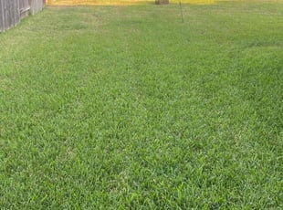 Gwendolyn D.'s Lawn Maintenance service result
