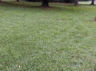 Er H.'s Lawn Care service result