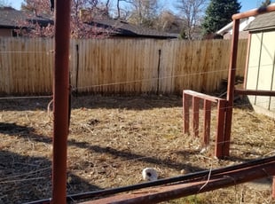 Weeding by Kevin Johnson for Kelly H. in Golden, CO