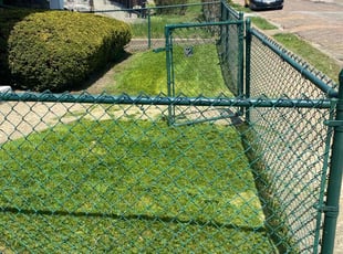 Joseph S.'s Lawn Mowing service result