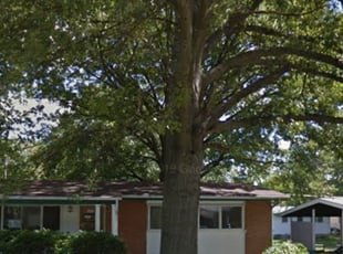 Leaf Removal by Max Carrier for Makeda L. in St. Louis, MO