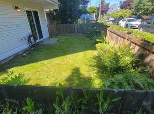 Denise R.'s Lawn Service service result
