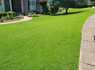 Anne N.'s Lawn Mowing service result