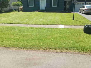 Jose O.'s Yard Cutting service result