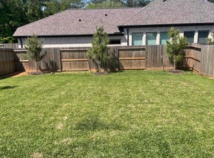 Alyvia R.'s Lawn Mowing service result