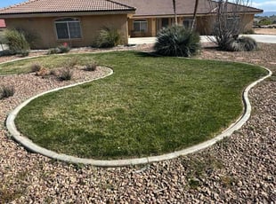 Phillip L.'s Lawn Mowing Service service result