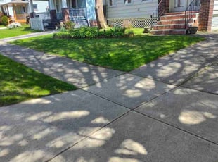 Ronald J.'s Lawn Maintenance service result