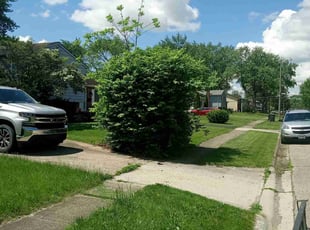 Bush Trimming by Elisha Nelson for Rain H. in Columbus, OH