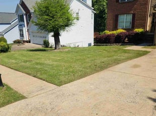 Kathleen R.'s Lawn Maintenance service result