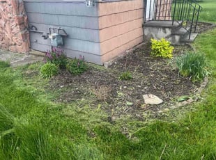 Weeding by Kyle Cardinell for Paul D. in Liverpool, NY