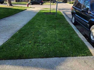 Ursula C.'s Lawn Service service result