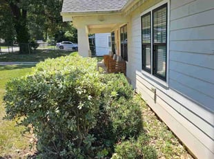 Bush Trimming by Isaac Council for Chris H. in Charlotte, NC