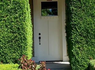 Bush Trimming by Coben Varland for Firoz D. in Sammamish, WA