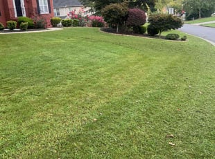 Charles C.'s Lawn Care service result