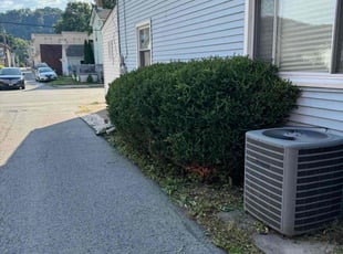Bush Trimming by Joseph Bucci for Sherman C. in New Brighton, PA