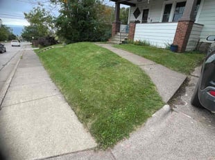 Kelly A.'s Lawn Service service result