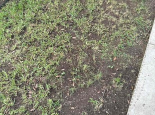 Leaf Removal by Darrel Bowser for Julian G. in San Antonio, TX