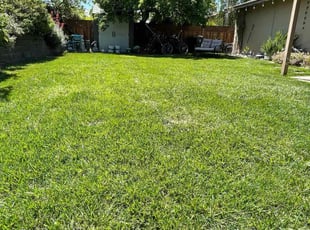 Lynnette M.'s Lawn Care service result
