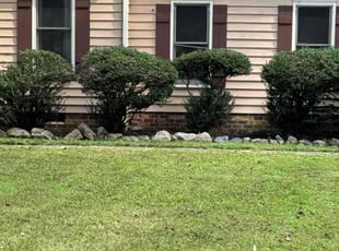 Bush Trimming by D Mitchell for Nathan G. in Midlothian, VA