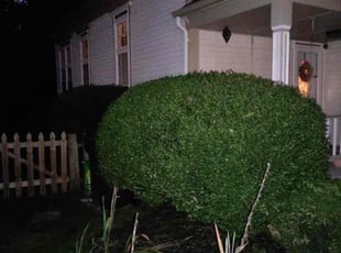 Bush Trimming by Manny Chavez for Jerry C. in Woodbridge, VA