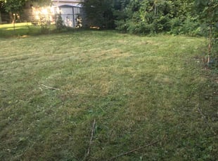 Bush Trimming by P Brown for Douglas E. in Pontiac, MI