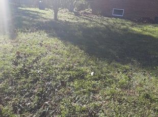 Leaf Removal by brian sayrs jr for Bonnie B. in Fairfax, VA