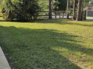 Cleanups by Miguel Torres for Leslie M. in Ocklawaha, FL