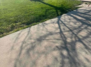 Joyce H.'s Yard Cutting service result