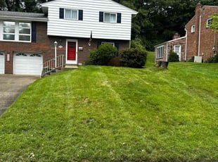 Vicki S.'s Grass Cutting service result