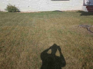 Weeding by Erica Flanagan for Leyya M. in Fridley, MN