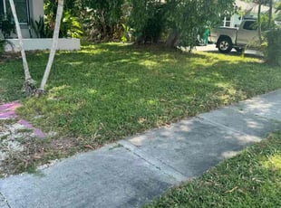 Jeri V.'s Cleanups service result