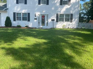Steven L.'s Grass Cutting service result
