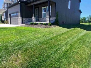 Bush Trimming by Julio Almestica for Jay W. in Lee's Summit, MO