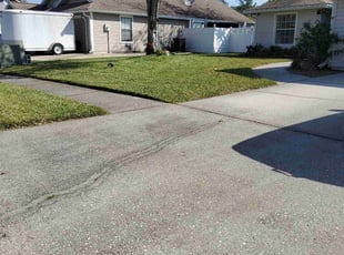 Tammy A.'s Lawn Mowing service result