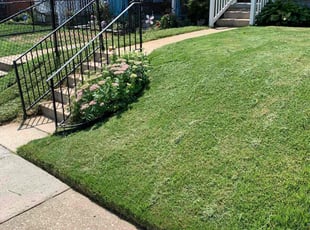 Leah A.'s Lawn Service service result