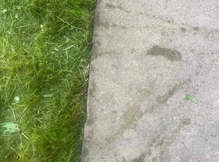 Kate B.'s Lawn Service service result