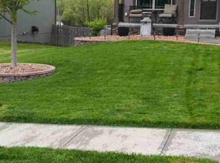 Robert R.'s Lawn Care service result