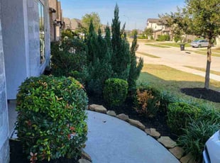Bush Trimming by Briana Rivera for Heath C. in Richmond, TX