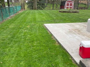 Larry M.'s Lawn Mowing service result
