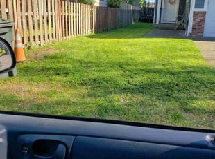 Yolanda L.'s Lawn Service service result