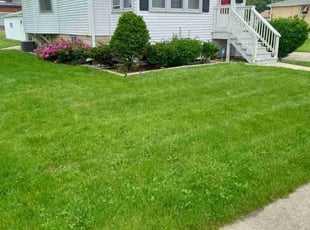 Sally M.'s Grass Cutting service result