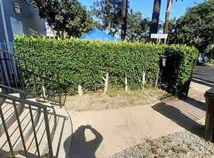 Bush Trimming by Alexander Lopez for Charlie W. in Los Angeles, CA