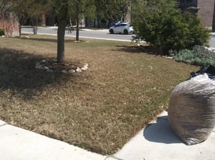 Leaf Removal by Steve Hoffman for Jacob B. in San Antonio, TX