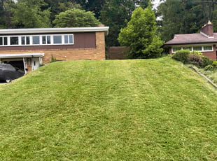 Shelia M.'s Lawn Mowing service result