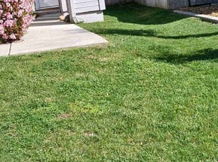Weeding by Dustyn Roberts for Hugh S. in Oceanside, CA