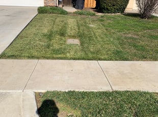 Bush Trimming by Andrew Velasquez for ERIC W. in Patterson, CA