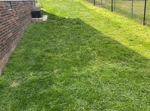 Robert J.'s Lawn Mowing service result